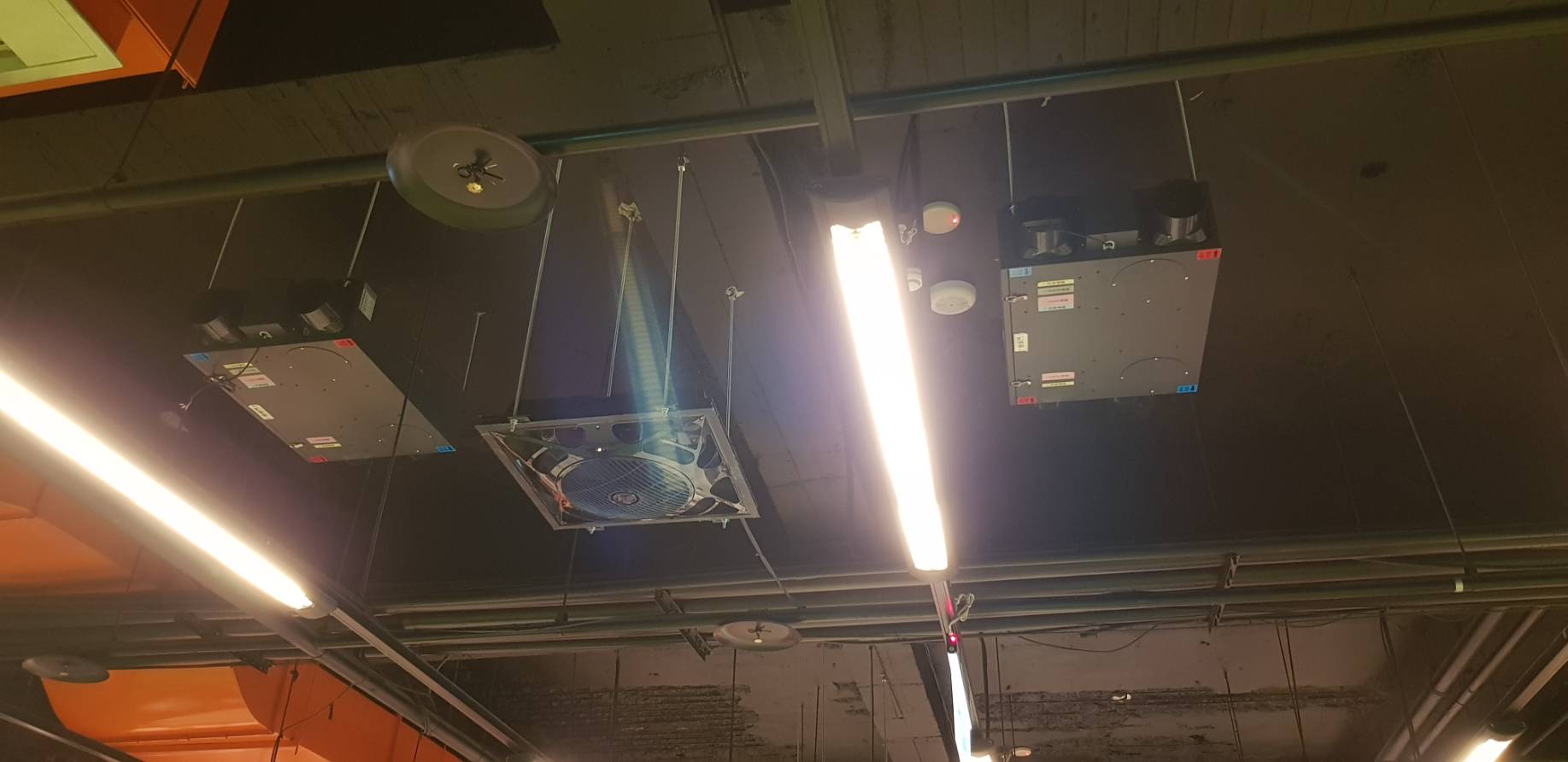 【成功案例】成X思汗-林口店