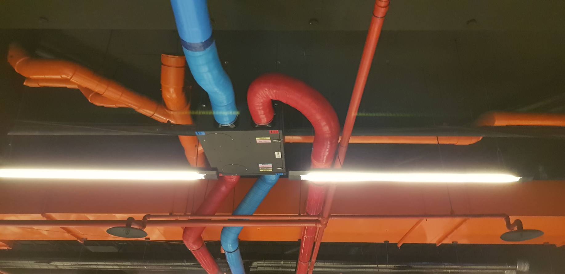 【成功案例】成X思汗-新莊店